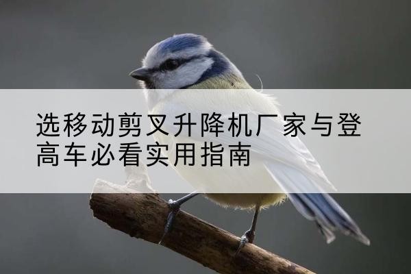 景宁电动升降机厂家-选移动剪叉升降机厂家与登高车必看实用指南