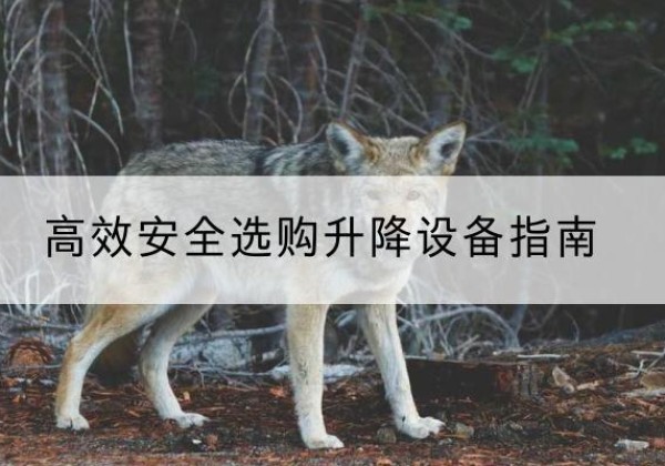 景宁升降货梯厂家推荐-*安全选购升降设备指南