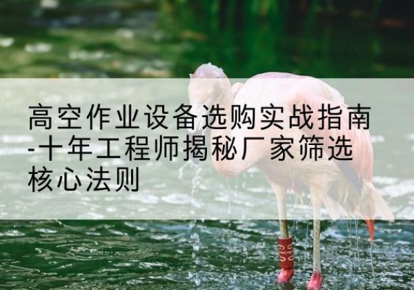 景宁剪叉式升降机厂家-高空作业设备选购实战指南-十年工程师揭秘厂家筛选核心法则