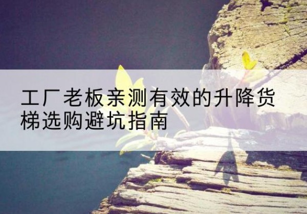 景宁升降货梯怎么选-工厂老板亲测有效的升降货梯选购避坑指南